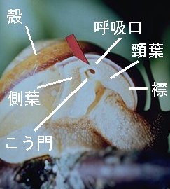 nantai04[1].jpg